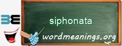 WordMeaning blackboard for siphonata